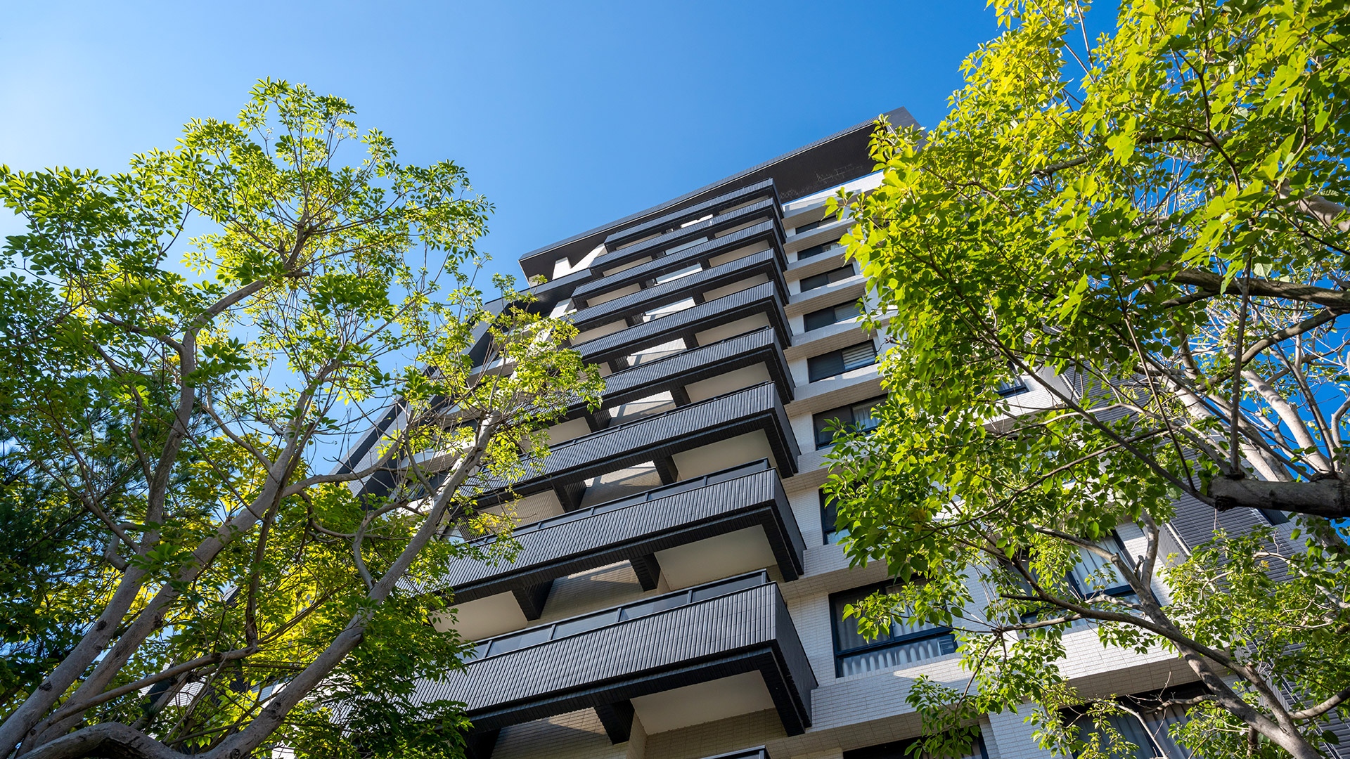 歲月與香氣．成為幸福記憶